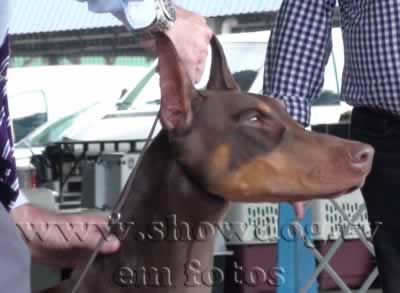 Clique sobre a foto para fechar